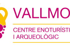 Centre Enoturistic i Arqueologic de Vallmora