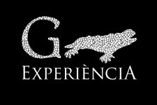 Gaudí Experiència