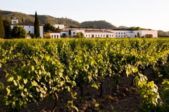 Bodegues Sumarroca