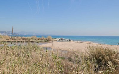 Malgrat de Mar, un pueblo para (re)descubrir