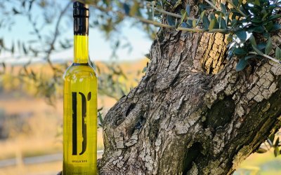 D’Oliciós: un projecte que uneix tradició, innovació i sostenibilitat