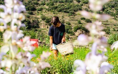Bauma de les Deveses: nature and tradition at its best