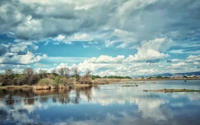 Fundació SIGEA, 30 anys encomanant amor per la natura