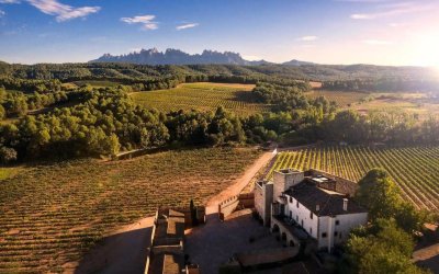 Heretat Oller del Mas: a winery steeped in a thousand years of history