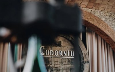 Codorníu, liderar el mercat amb consciència sostenible