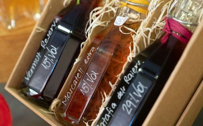 Catalonia seeks to consolidate itself as a benchmark food and wine destination in Europe with an investment of over 1.5 million euros