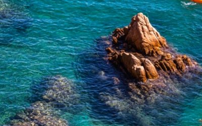 RocRoi Vilanova: aventuras sostenibles para descubrir el Mediterr&aacute;neo desde una nueva perspectiva