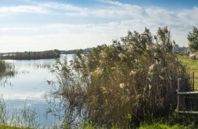 Green trails and authentic flavours: discovering the Baix Llobregat