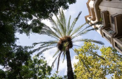 Barcelona’s hotels: committed to saving water