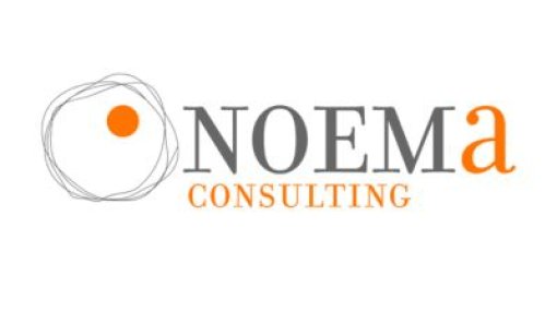 Noema consulting