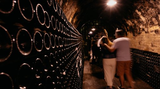 Bodega Segura Viudas