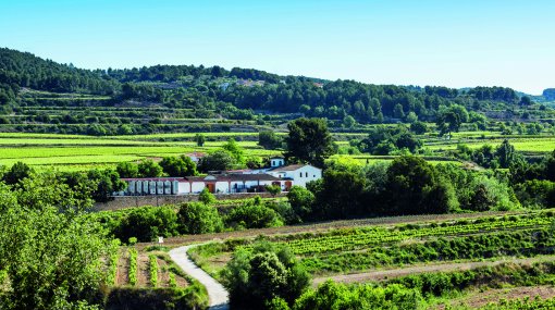 CELLER EUDALD MASSANA NOYA