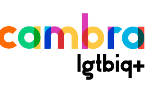 CAMBRA LGTBIQ+
