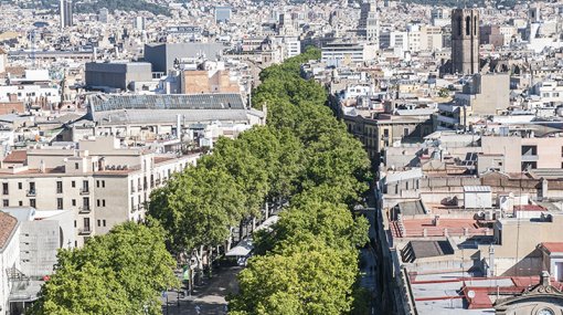 Amics de La Rambla