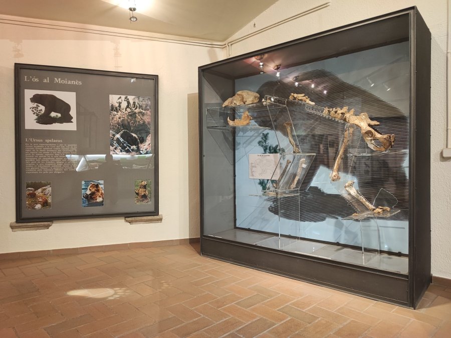 El Museo de Moià y las cuevas del Toll: un viaje a la prehistoria accesible para todos