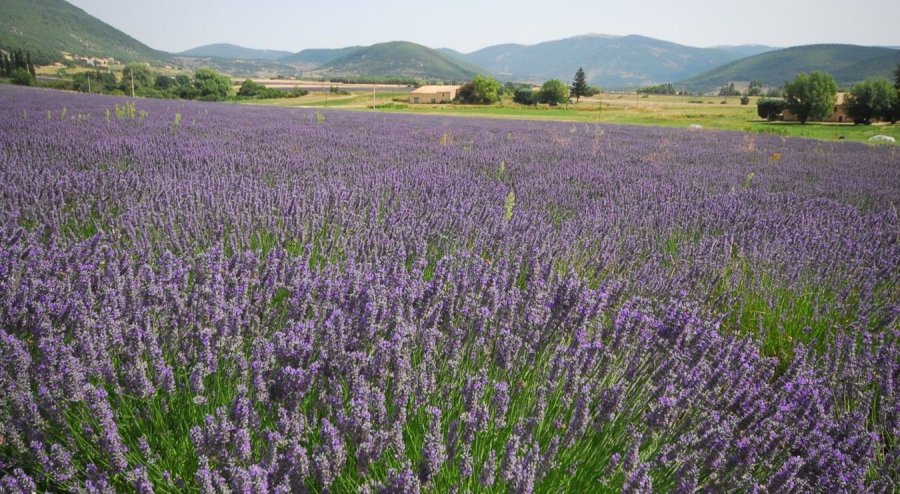 Parc de les Olors de Taradell, una escapada amb aroma d’història