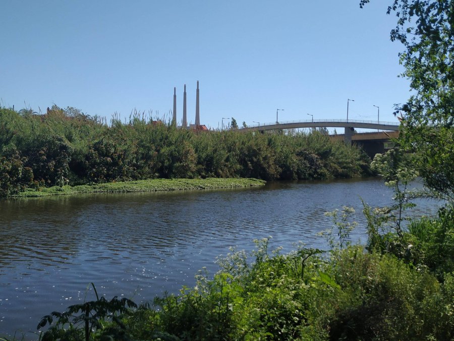 Experience the Besòs River with Blauverd Urbà