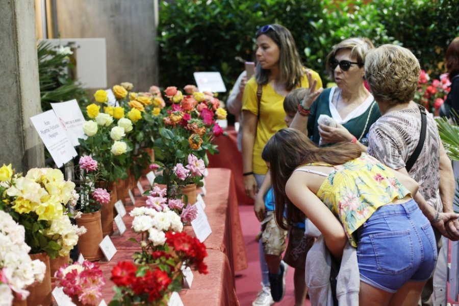 Femturisme.cat: el portal web per descobrir Catalunya de manera sostenible