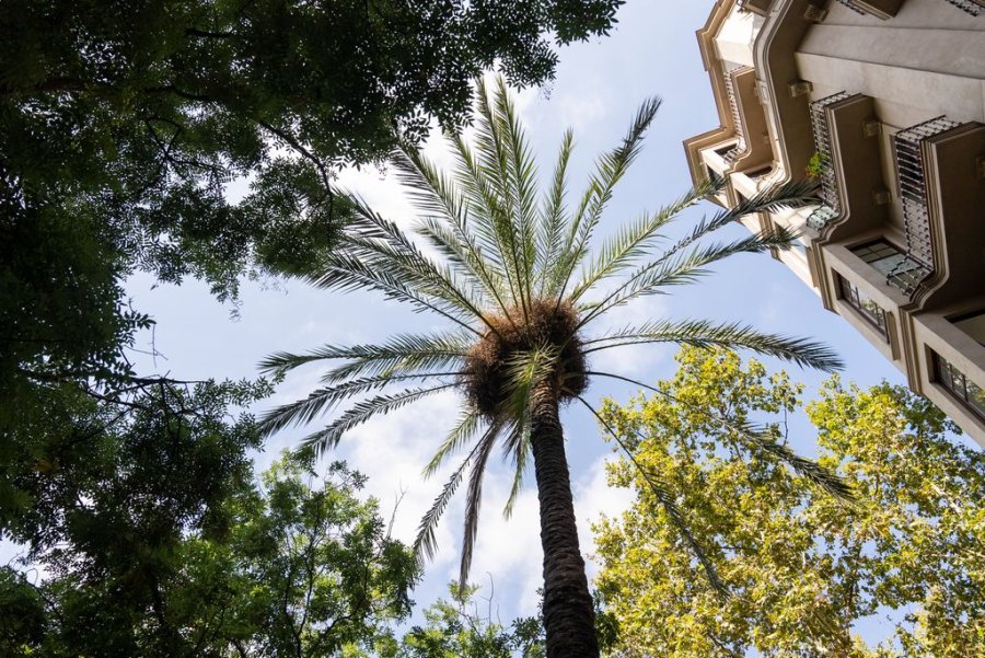 Los hoteles de Barcelona: comprometidos con el ahorro de agua