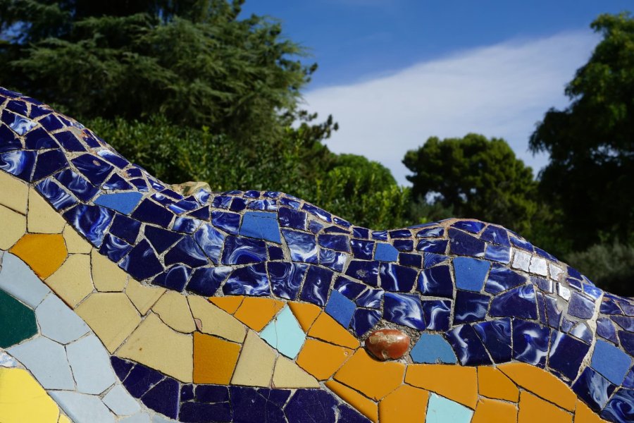 Converteix-te en artista del mosaic amb Mosaiccos
