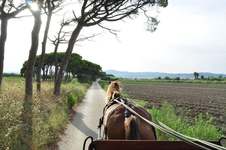 Fent valdre la pagesia de les zones urbanes