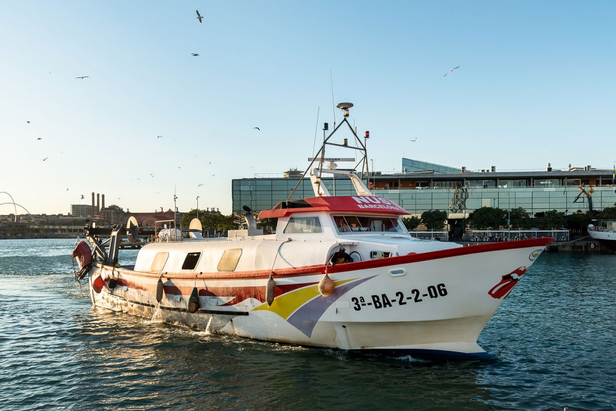 Descubrir la Barcelona marinera con Cap a Mar