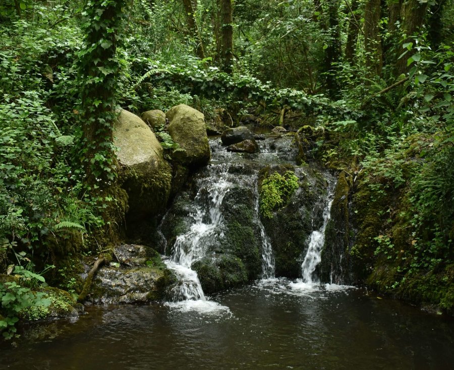 Santa Maria de Palautordera, a sustainable gateway to Montseny