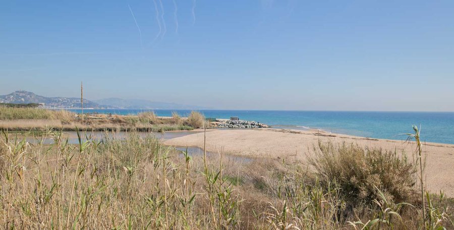 Malgrat de Mar, un pueblo para (re)descubrir