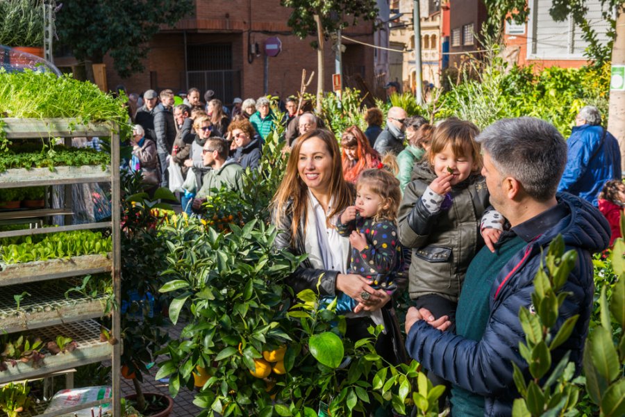 Si la Candelera riu, el medi ambient és viu (Si la Candelaria ríe, el medio ambiente está vivo)